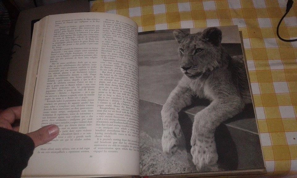 Seara dos Tempos - Harvest of Time - Angola'