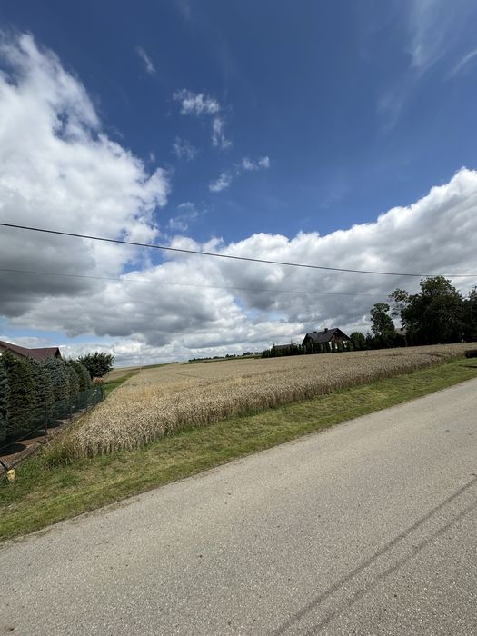 Sprzedam działki budowlane 8-12 ar