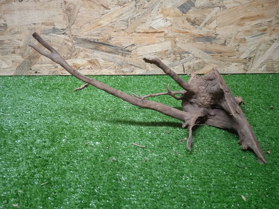 Korzeń do akwarium Red Moore Wood nr 364 o wymiarach 31/14/15