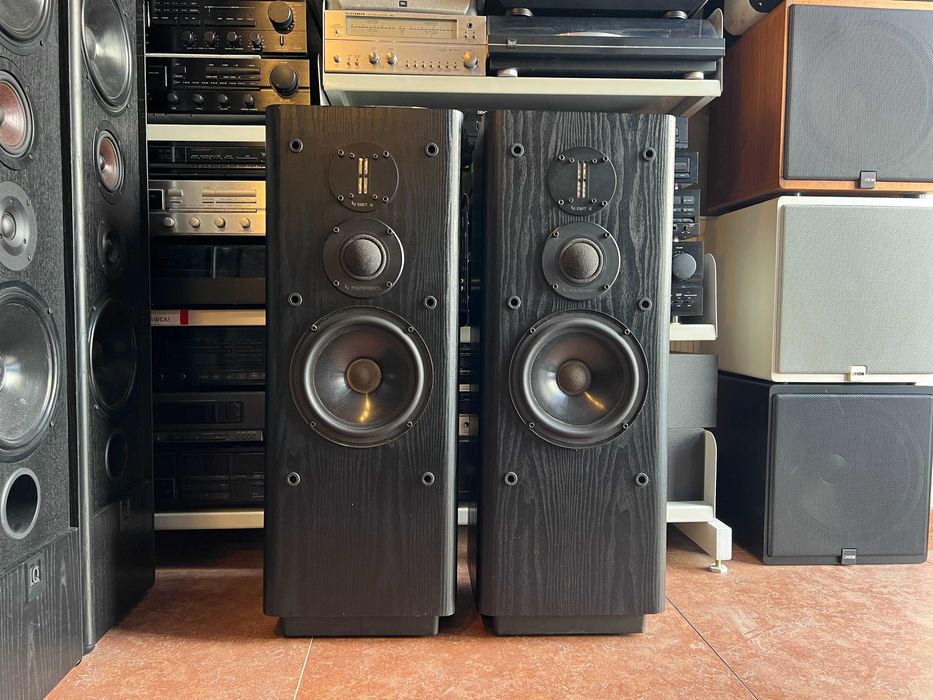 Kolumny podłogowe Infinity RS 5001 Audio Room