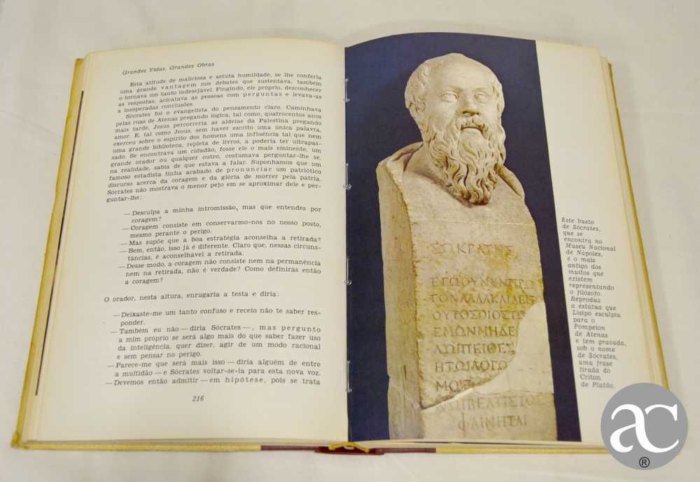 Grandes Vidas Grandes Obras – Biografias Famosas - Livro