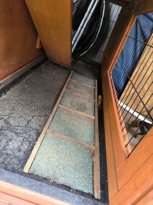 Klatka na kroliki i inne tematy