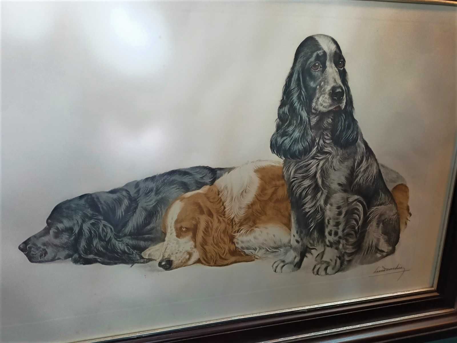 Gravura 3 Cocker Spaniels Léon Danchin