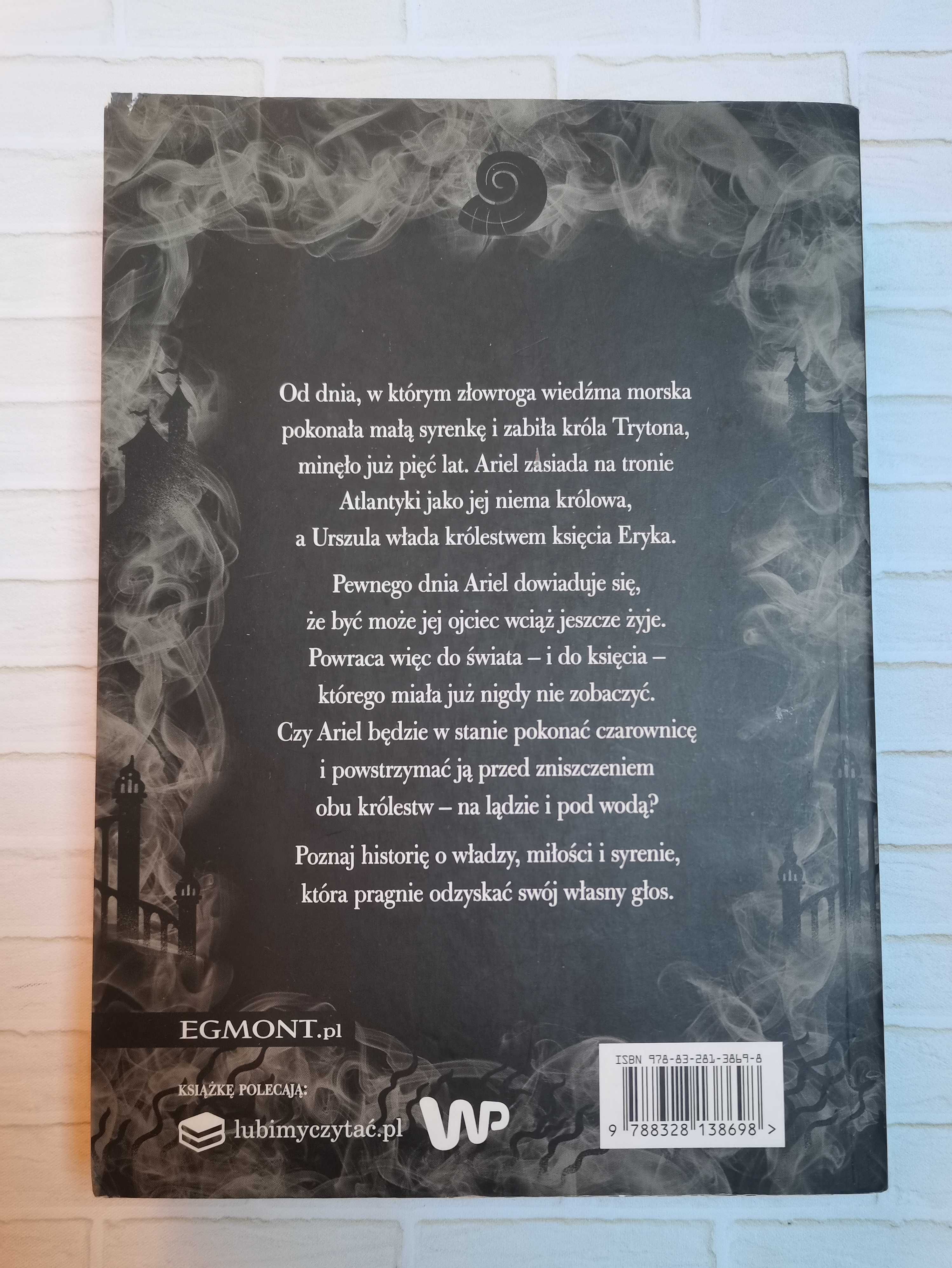 Liz Braswell - Świat obok świata. Mroczna baśń