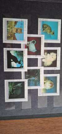 Stare znaczki pocztowe Koty