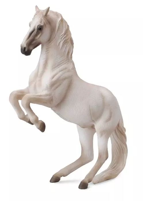 Ogier rasy lipizzaner. Dante