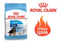 Royal Canin Maxi Puppy 4 кг корм для цуценят крупних порід роял Канін