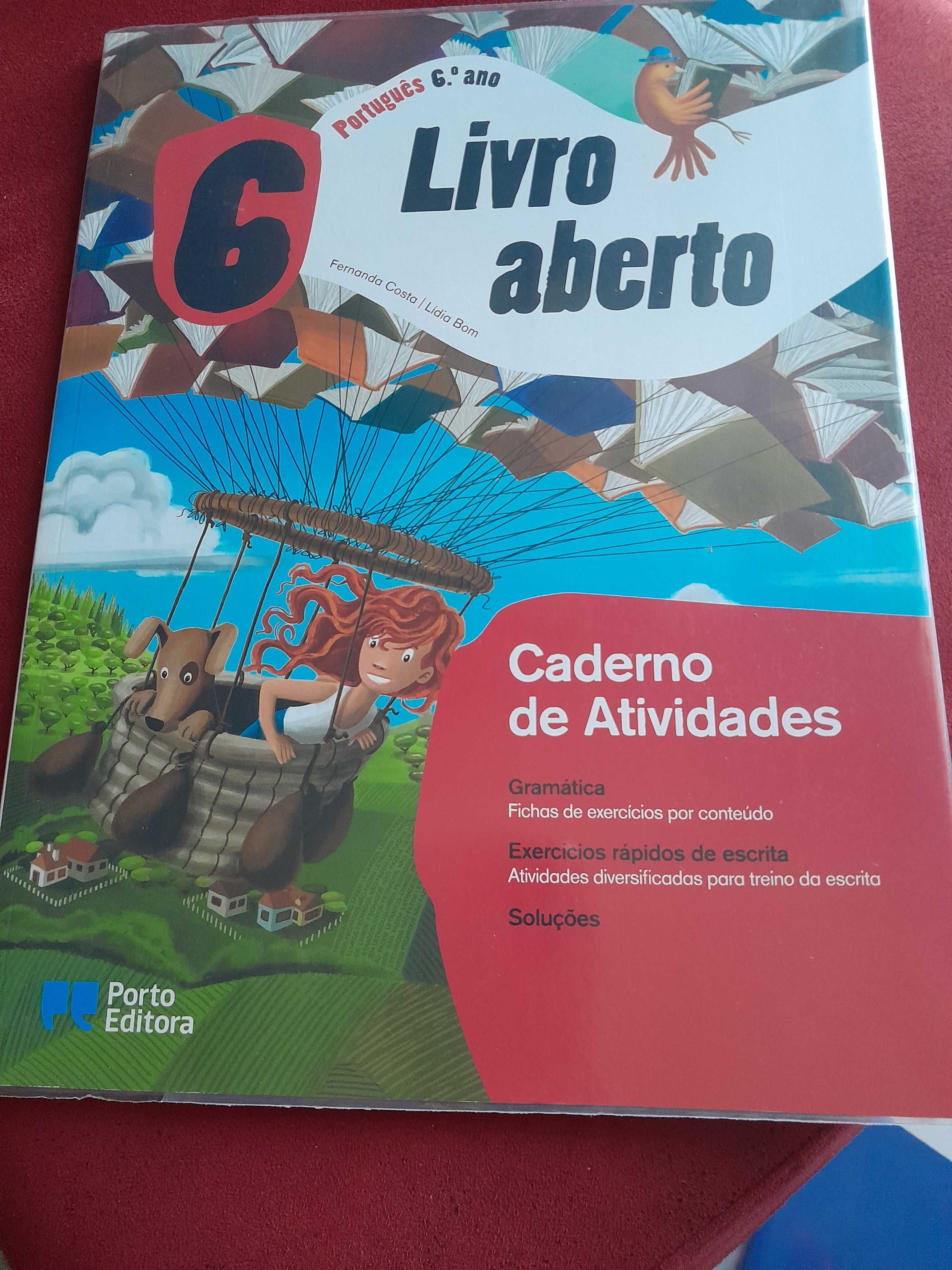 Livro de actividades  6 ano  português novo