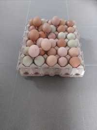 Ovos de galinha paga 12 leva 15.   2€