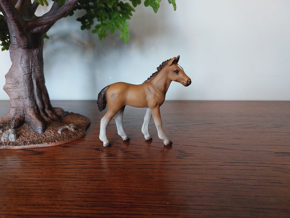 Źrebak hanowerski schleich