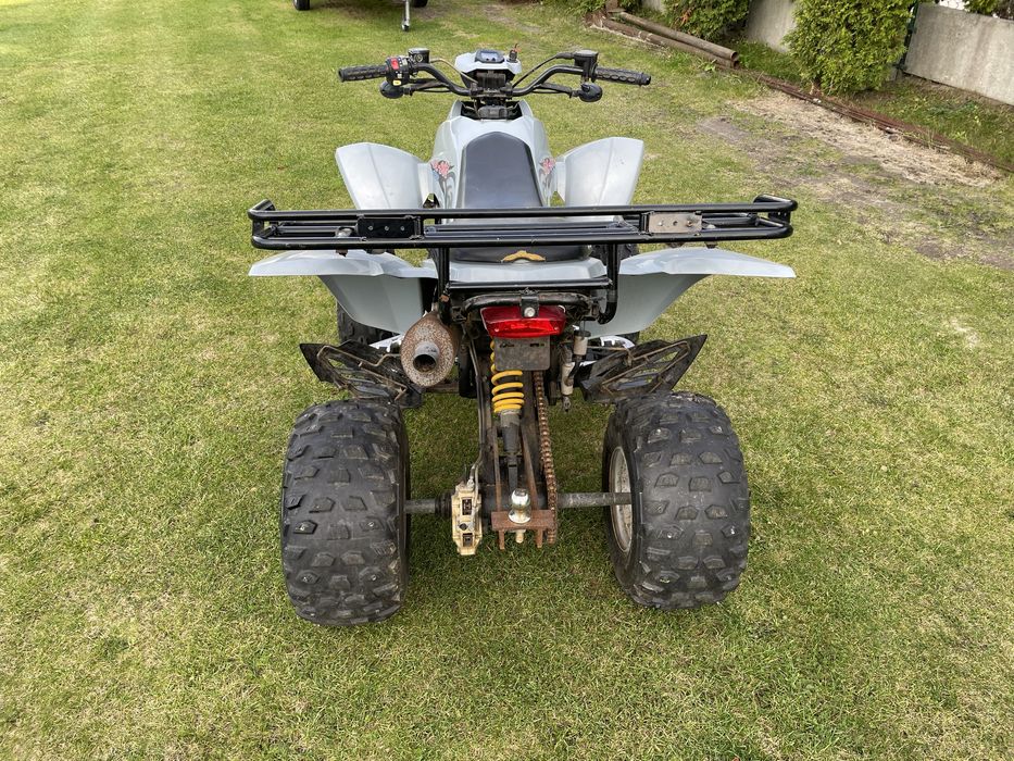Quad ATV Dinli 300