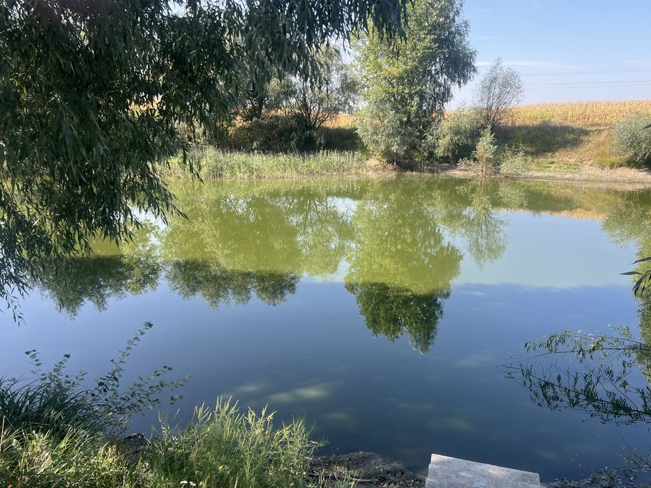 Земельна ділянка 25 сот під забудову входить в озеро Васильків Крячки