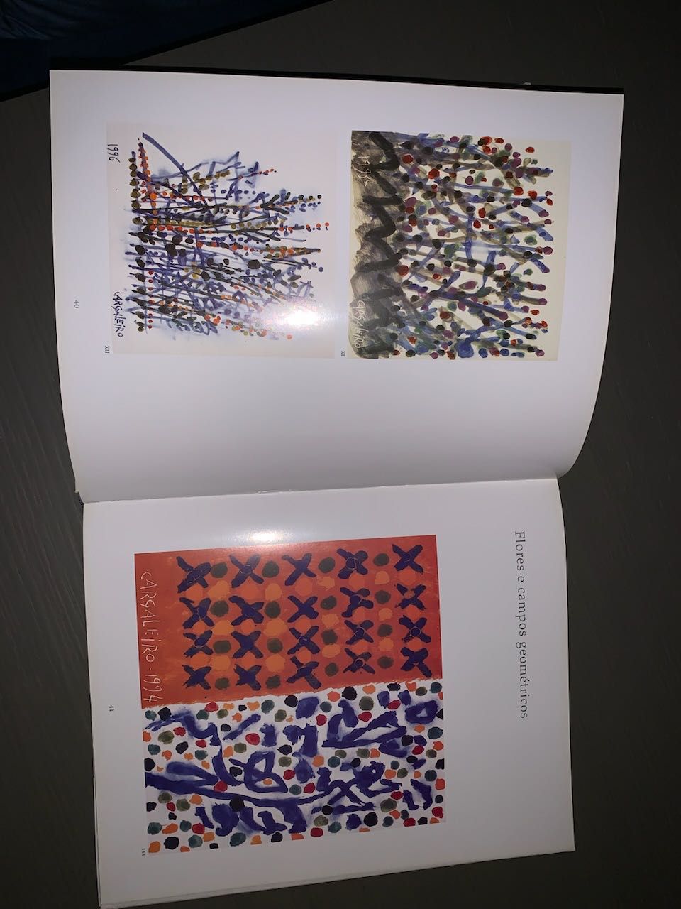 Livro Manuel Cargaleiro - Azulejos, Das flores às cidades - 1998