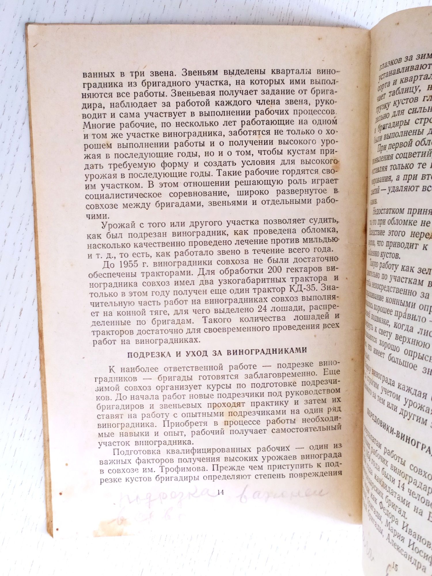 ВИНОГРАДНИК Уход и Обработка почвы Виноградарство виноградная лоза