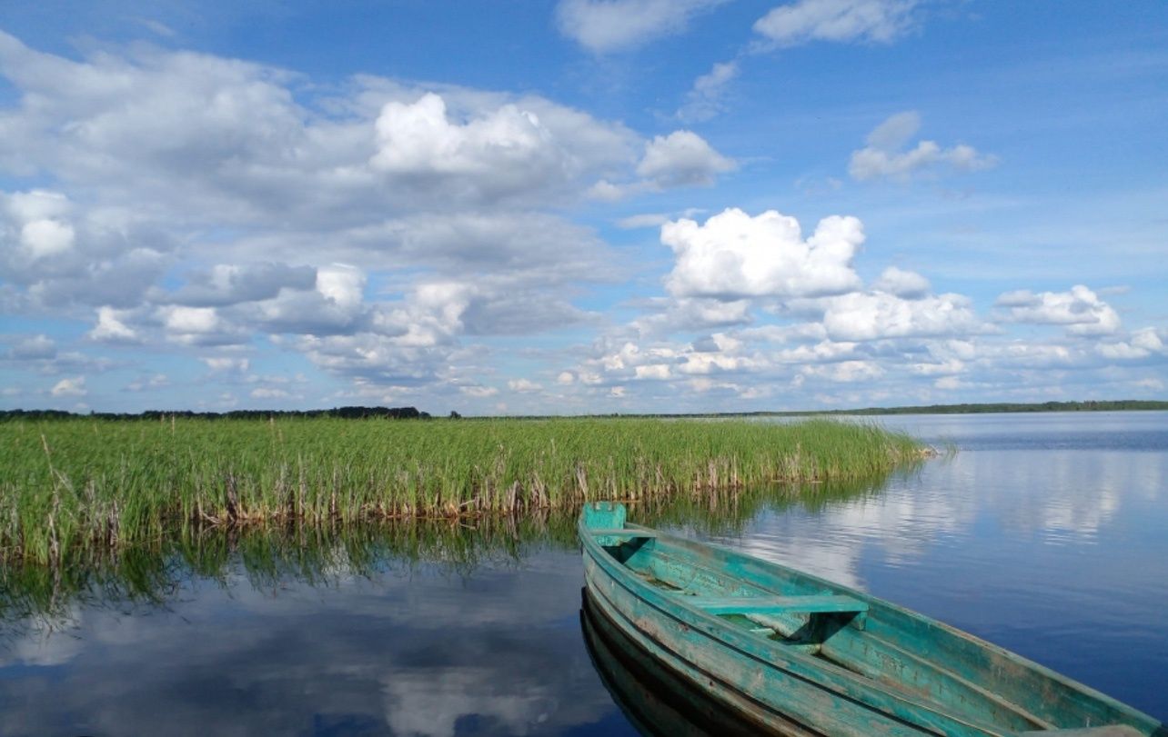 Продам земельну ділянку біля озера.