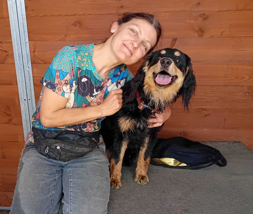 CIAPEK - domowy, roczny, mix spaniela, wesoły. [FILMIKI}