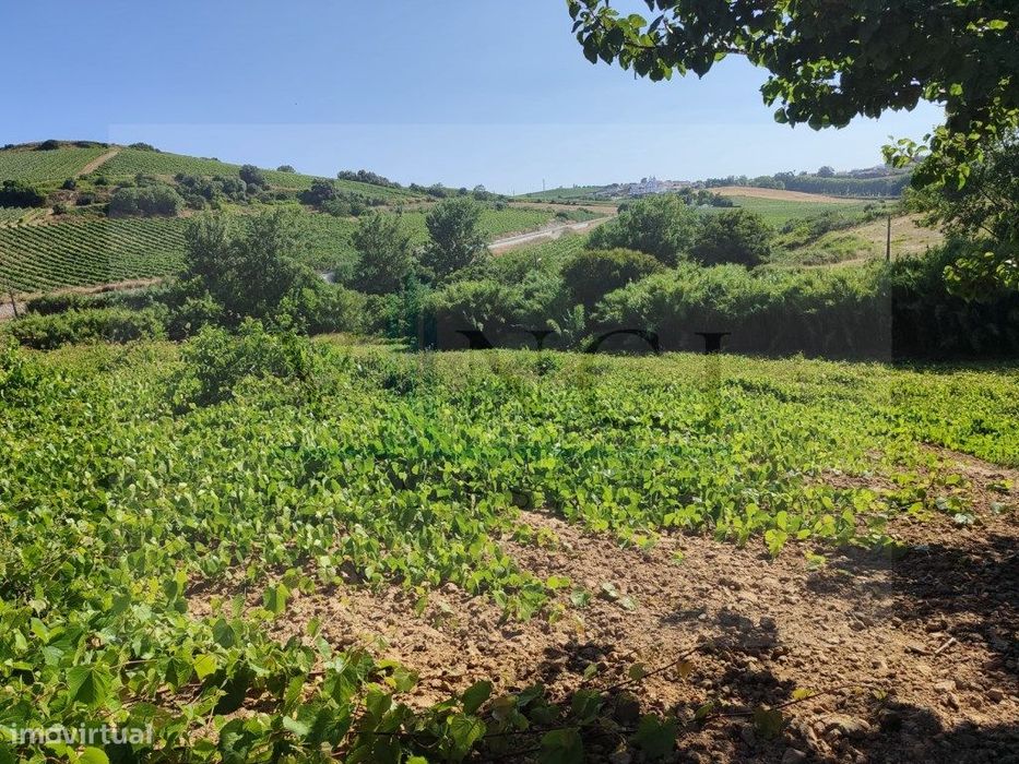 Terreno Plano A 40 Minutos De Lisboa