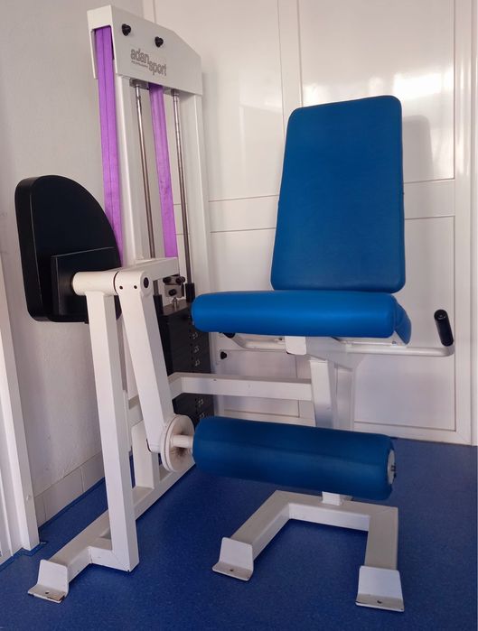 Maquina de extensão de perna