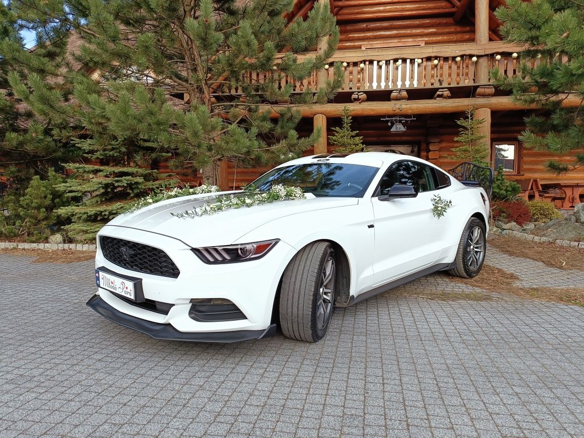 Auto pojazd samochód do ślubu Ford Mustang V6 biały