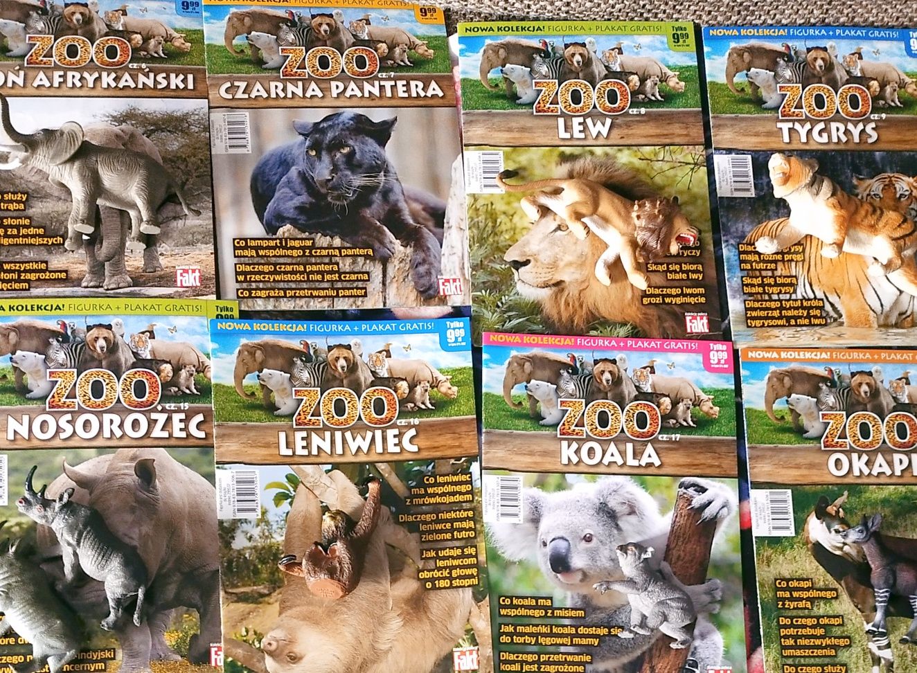 Kolekcja zwierząt z broszurką