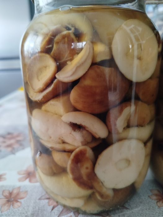 Продам гриби мариновані і сушені