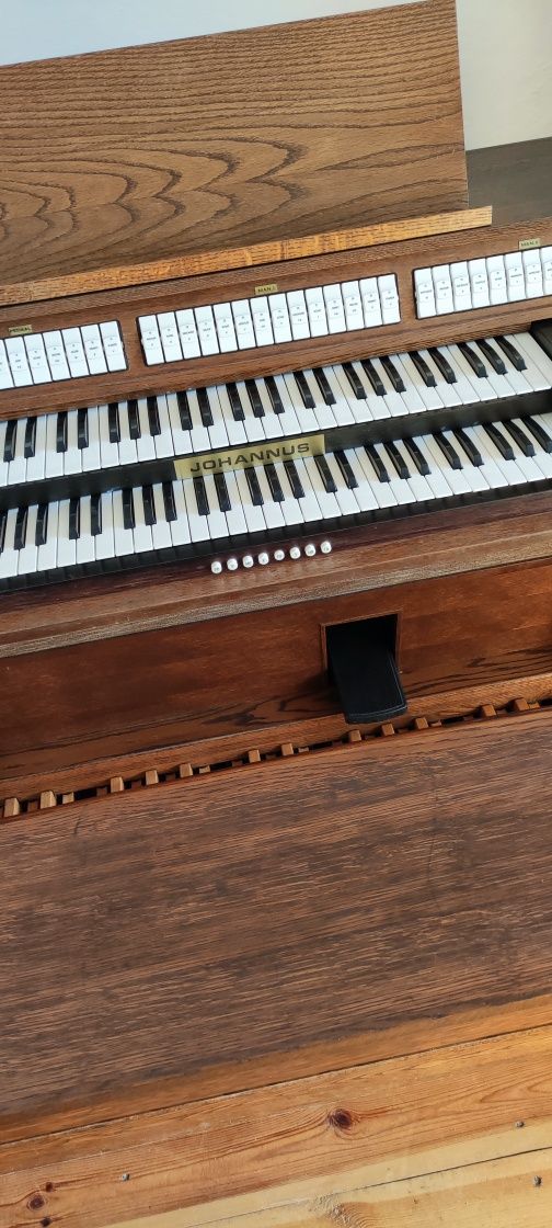 Organy Johannus op 230  ( małopolska)