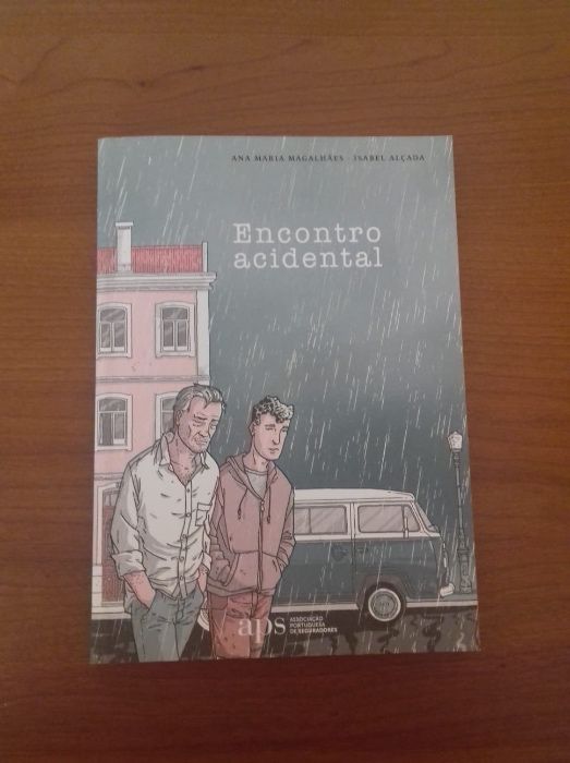 Livro -Encontro Acidental