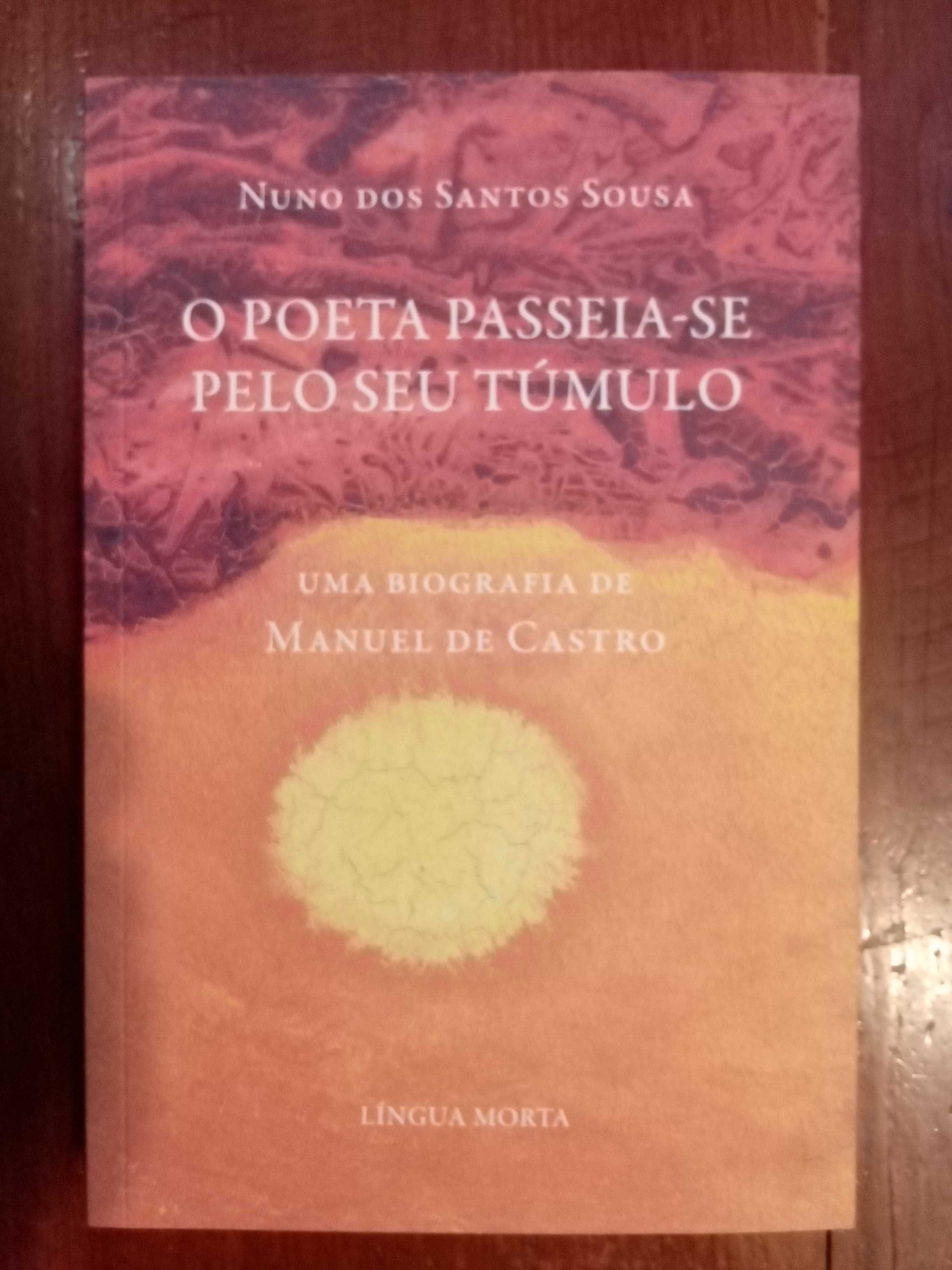 Nuno dos Santos Sousa - O poeta passeia-se pelo seu túmulo