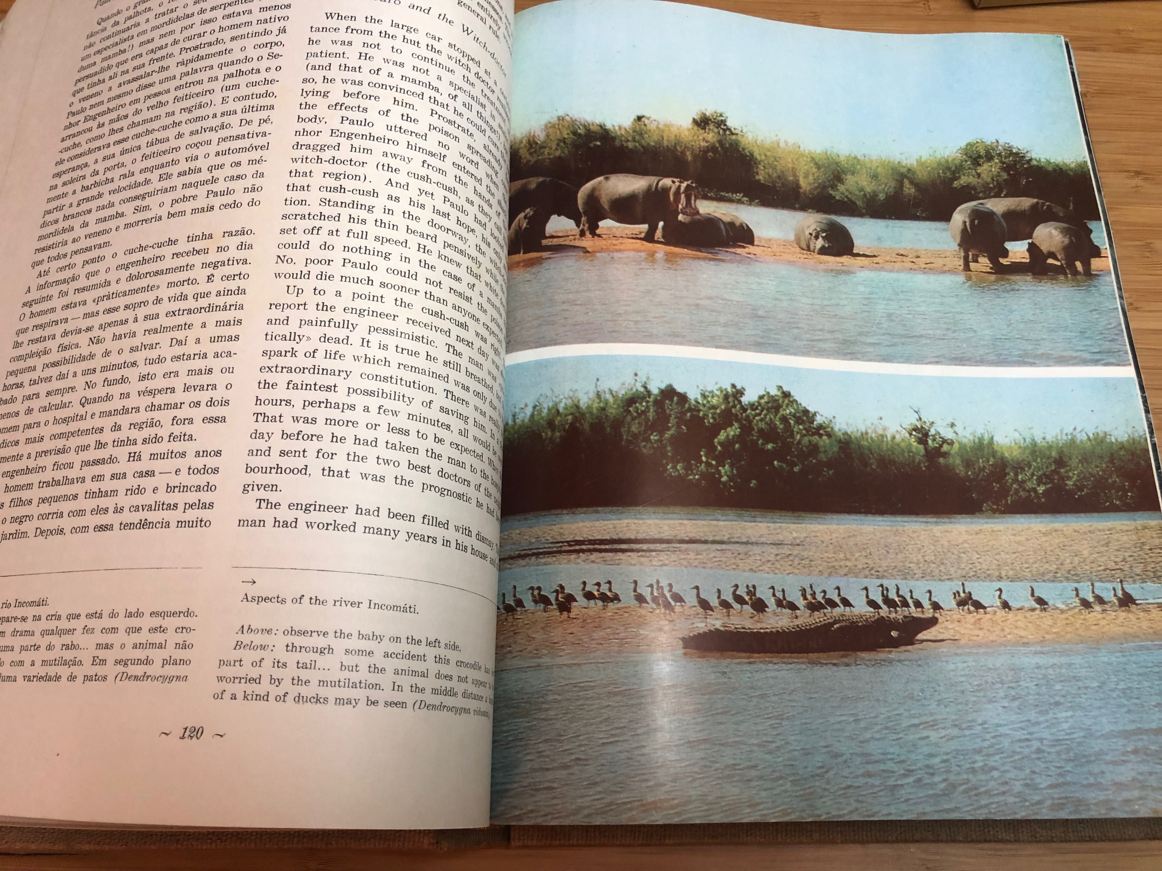 Livro Santuário Bravio Gorongosa e Moçambique Eça de Queiroz 1964