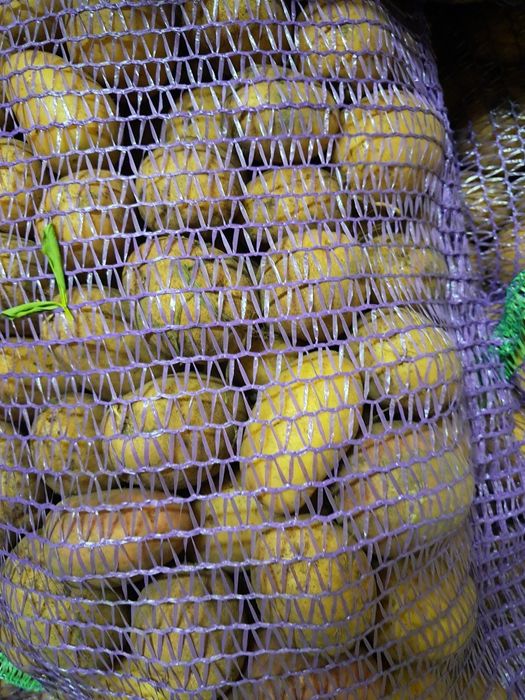 ДОМАШНЯ Картопля на їжу та посадку