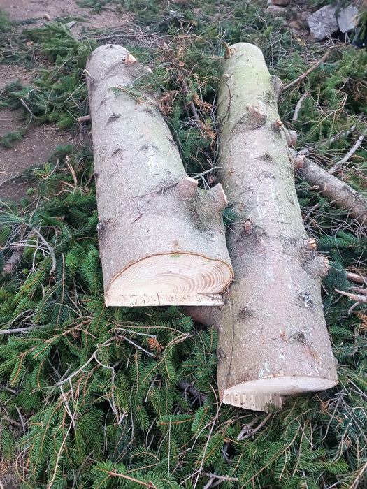 Drewno na opał Świerk