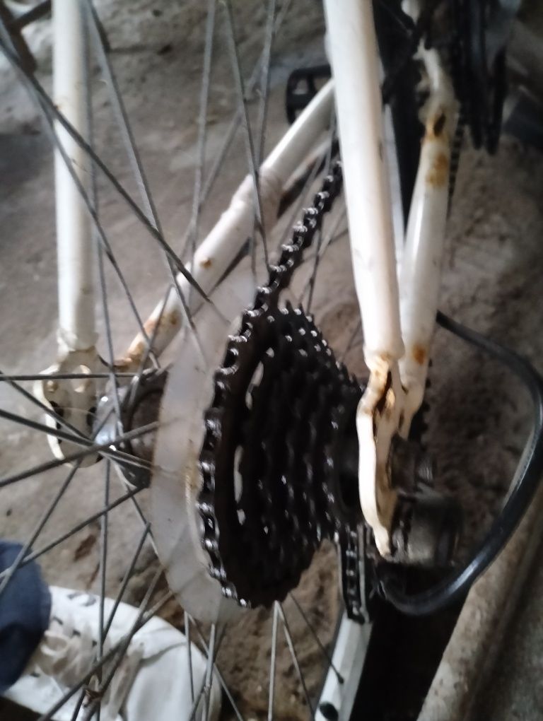 Bicicleta BIrdRodas
