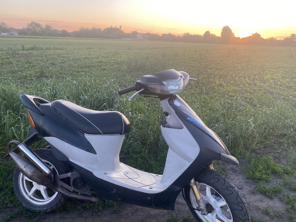 Suzuki zz in chap