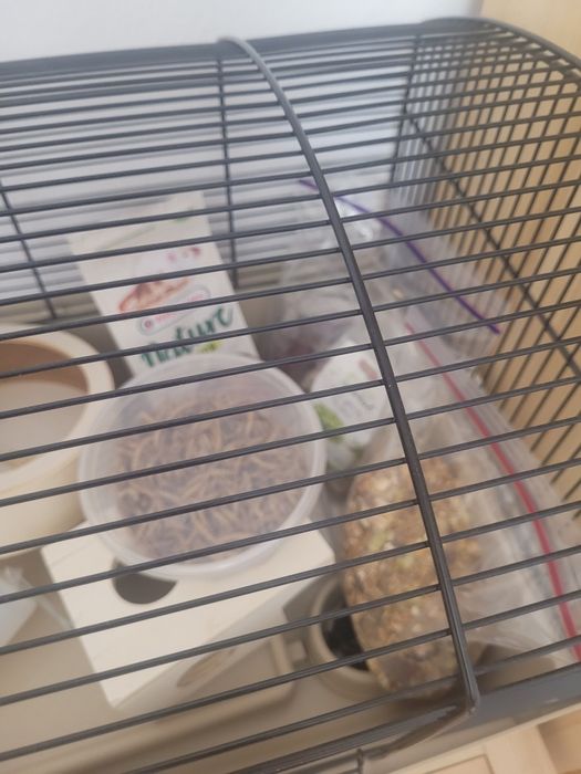 Klatka dla chomika z pokarmem i wiórkami do klatki. Używana