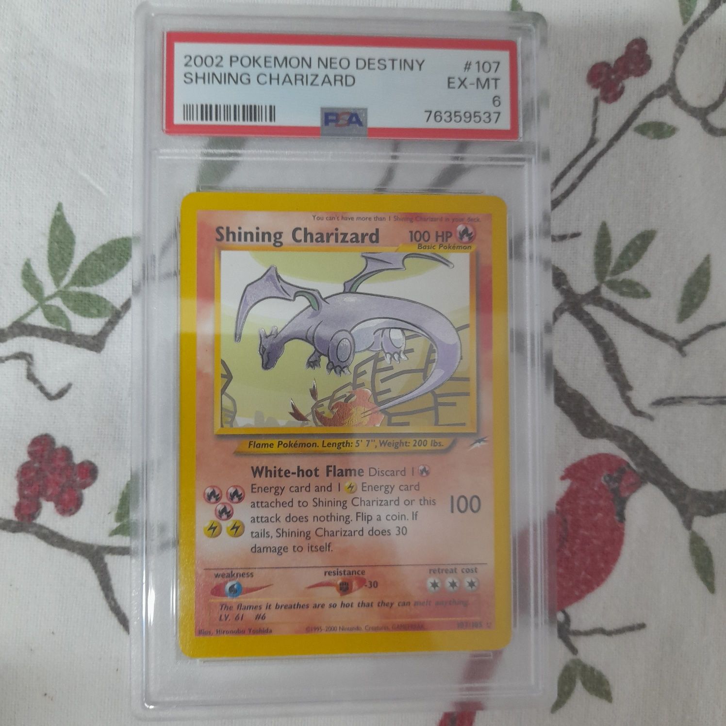 Shining Charizard PSA 6