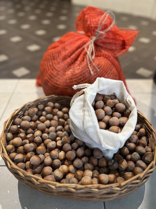 Фундук (лісовий горіх, ліщина)