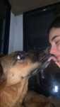 Pet Sitting ao seu Dispor