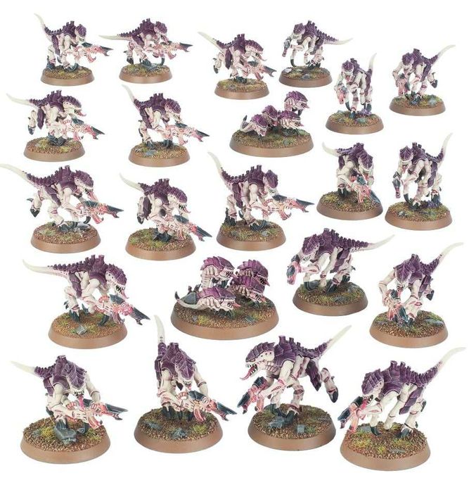 Tyranids Termagants + Ripper Swarms/11