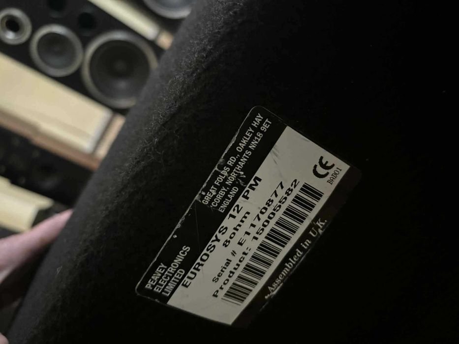 Peavey EUROSYS 12 PM - Aktywna Kolumna / Monitor Sceniczny 100W