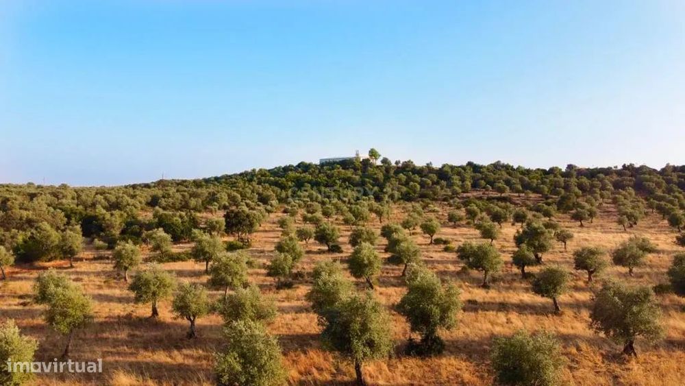 Terreno rústico com 135.500 m2  em solo urbano, urbanizável - em Estre