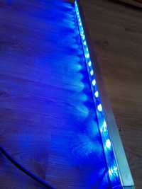Belka LED niebieska morskie