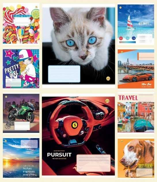 Набір зошитів учнівських в клітинку та лінію 12 аркушів