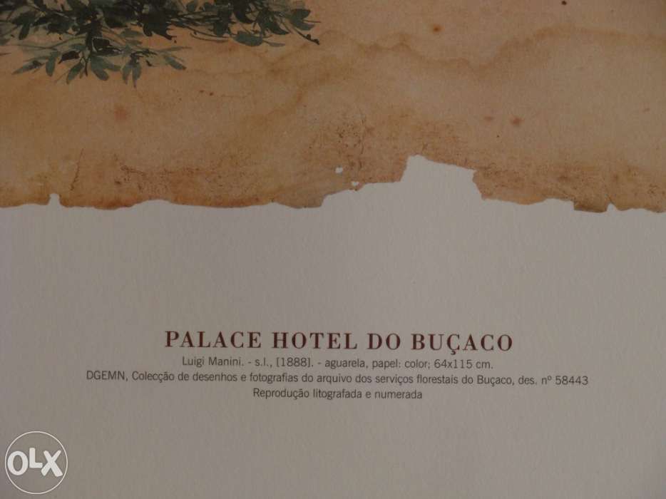 Palace Hotel do Buçaco