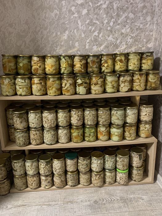 Продам гриби консервовані та сушені