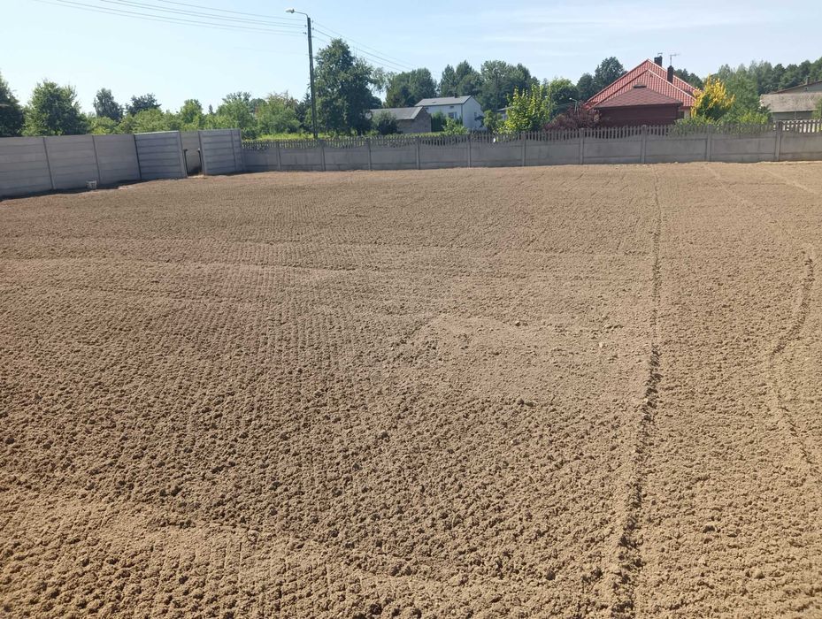 Zakładanie trawnika z siewu przygotowanie równanie terenu nawodnienia