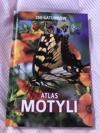 Atlas motyli 250 gatunków książka