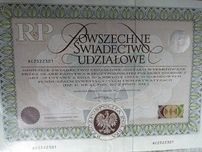 Powszechne Swiadectwo Udziałowe