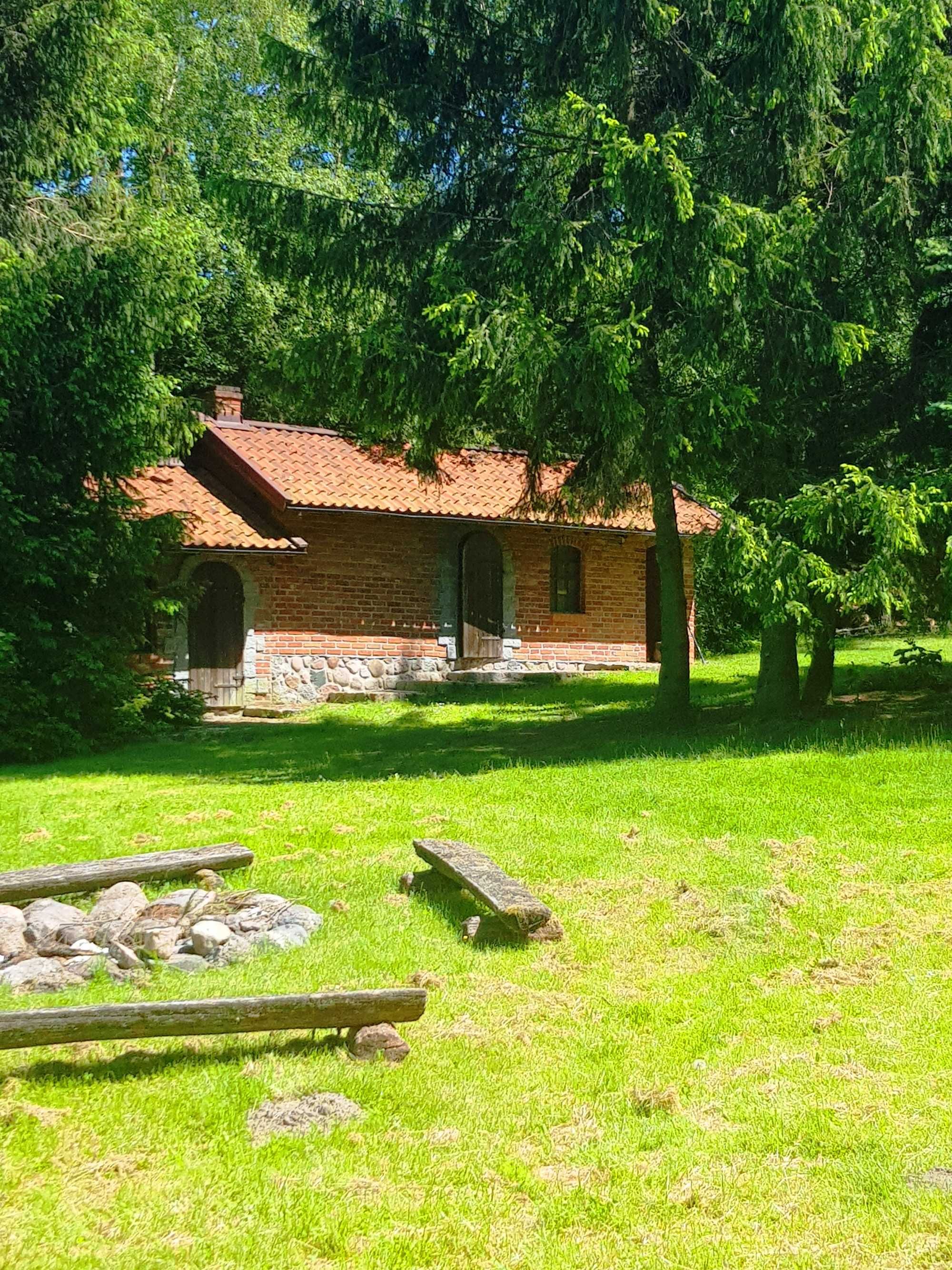 Klimatyczny zielony domek z linią brzegową- wędkowanie  łódka kajak