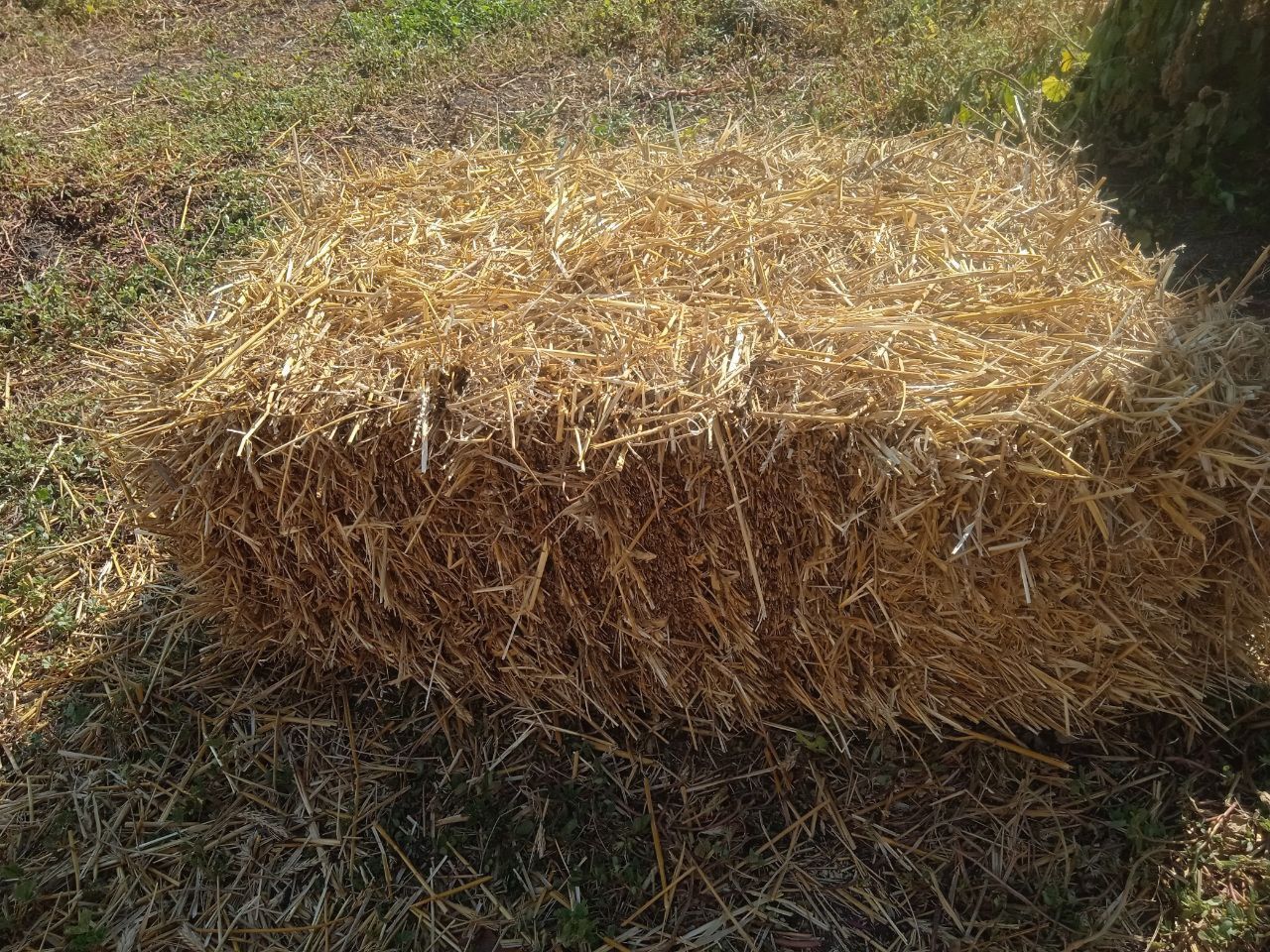 Продам солому, сіно в тюках