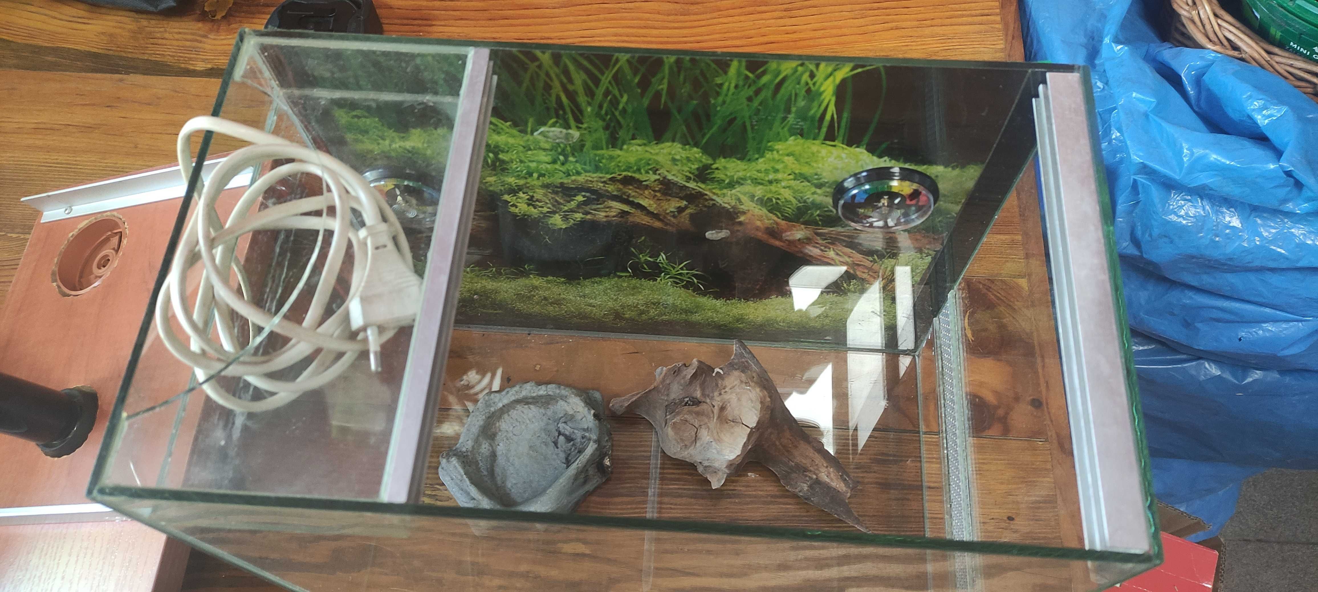 Terrarium dla pająka i nie tylko 35x20x30